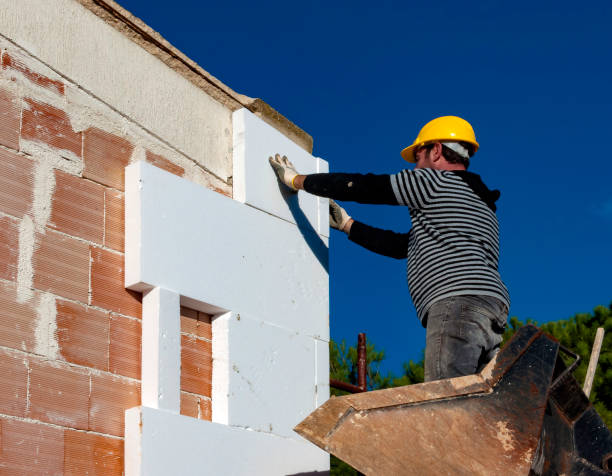 Best DIY Insulation Kits and Guidance in Metropolis, IL
