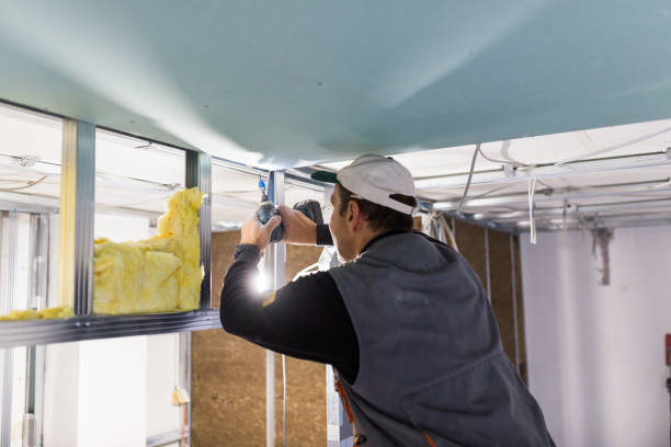 Best Spray Foam Insulation in Metropolis, IL