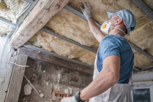 Best Cellulose Insulation in Metropolis, IL