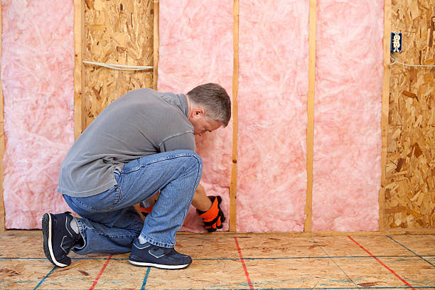 Best Eco-Friendly Insulation in Metropolis, IL
