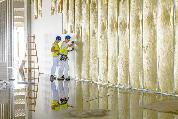 Best Specialized Insulation Services in Metropolis, IL